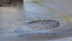 На Логвиненко прорвало трубу? Видео горожанина