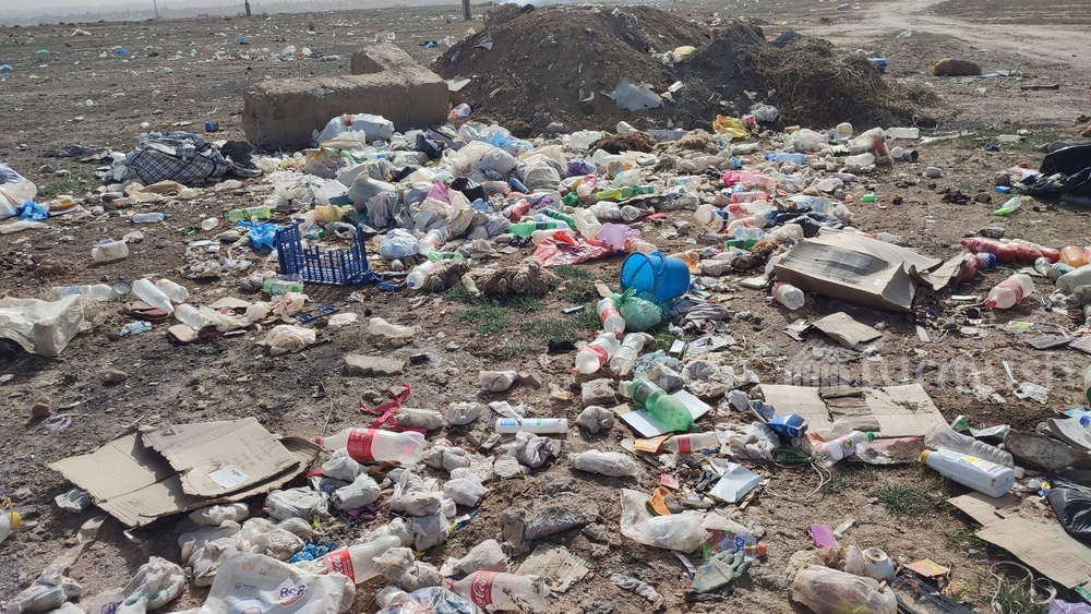 Иллюстративное фото