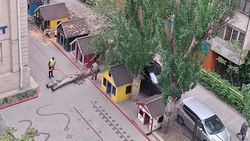 На территории детсада «Индиго» спилили два тополя. Законно ли? Фото горожанина