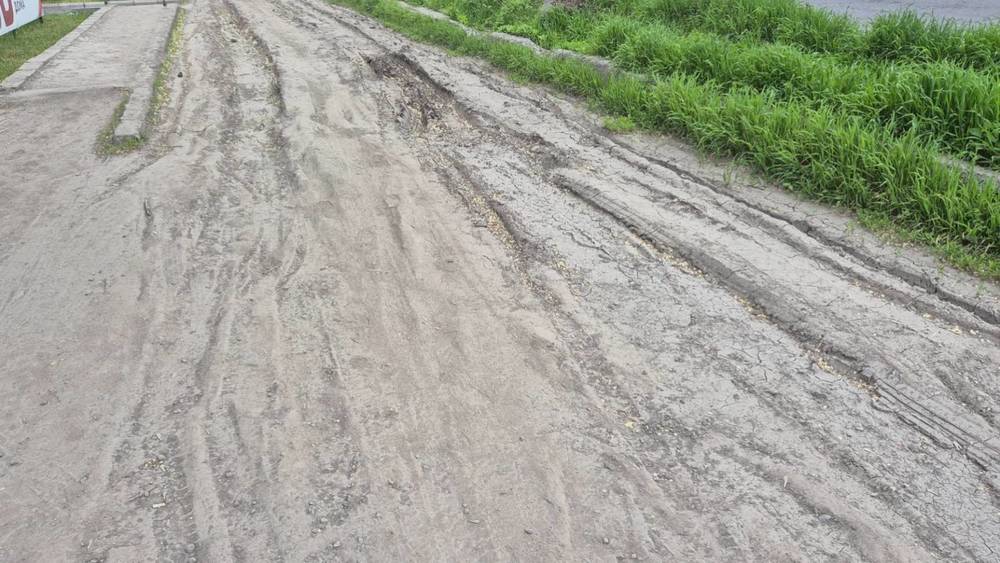 Огромный слой грязи на тротуаре по Льва Толстого. Фото