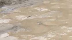 Жительница Оша жалуется на грязь в центре города. Видео