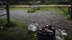 Спортплощадка в Алтын-Ордо завалена мусором. Видео жительницы