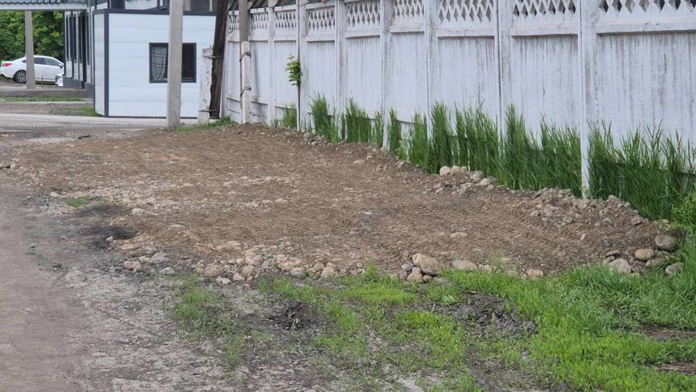 В мэрии рассказали, зачем зеленую зону на Льва Толстого засыпали щебнем