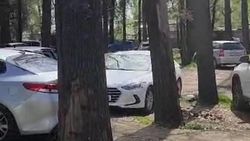 Как решили проблему массовой парковки в парковой зоне возле «Дордоя». Видео мэрии