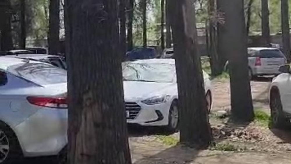 Как решили проблему массовой парковки в парковой зоне возле «Дордоя». Видео мэрии