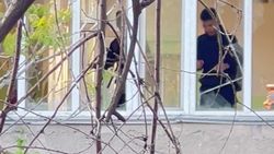 Школьники камнями разбивают окна детского сада возле «1000 мелочей». Видео
