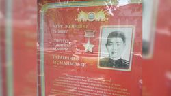 Горожанка просит обновить стенды памяти участников ВОВ на проспекте Чуй