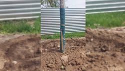 К новому дереву по проспекту Чынгыза АЙтматова рядом с госрезиденцией приколотили палку, - горожанка