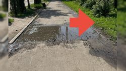 Тротуар по Чуй—Фучика затапливает даже при обычном поливе, - горожанин