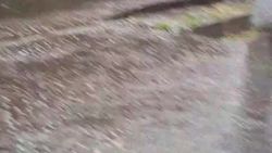 Остановку и тротуар на Советской затопило. Видео горожанина