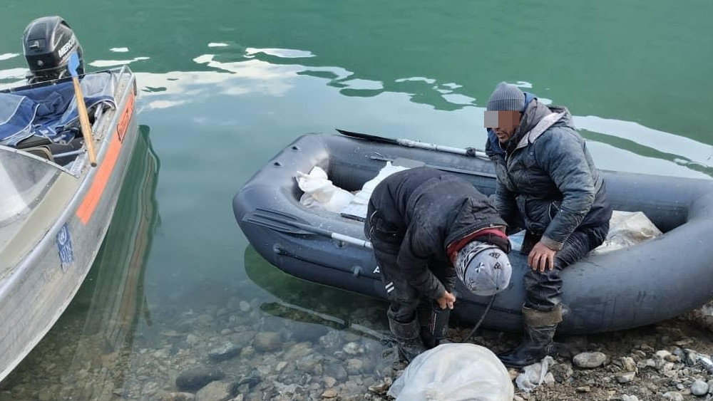 Иллюстрациялык сүрөт