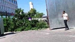 На Шопокова вырубают деревья. Видео