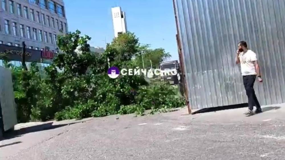 На улице Шопокова вырубают деревья. Ответ мэрии