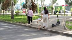 Тротуар и велодорожка на Алматинке заканчивается дорогой. Фото горожанина