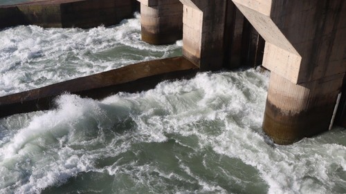 Технико-Экономическое Обоснование