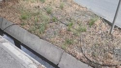 По всему городу валяются и висят троллейбусные провода. Фото горожанки