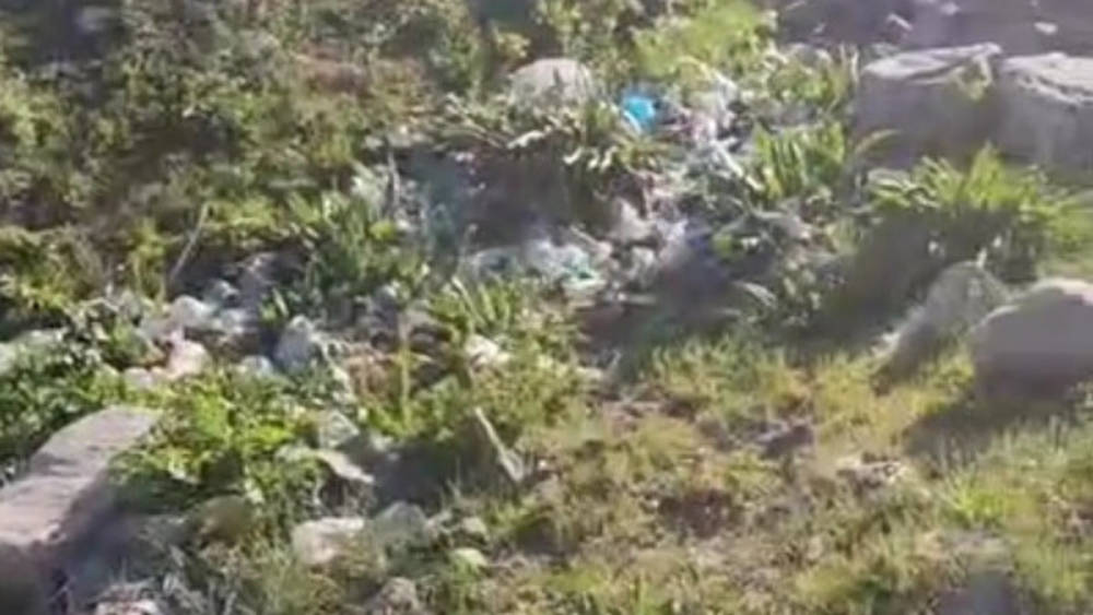 «Неописуемая красота тонет в горах мусора»: Видео с перевала Төө-Ашуу