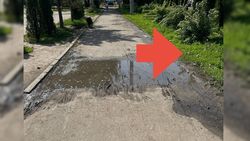 Тротуар по Чуй—Фучика затапливает даже при обычном поливе. Ответ мэрии