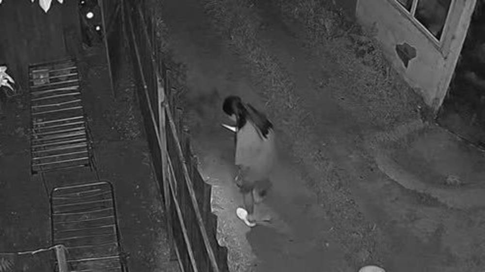 Две девушки что-то искали у забора, а затем полили водой и ушли. Видео