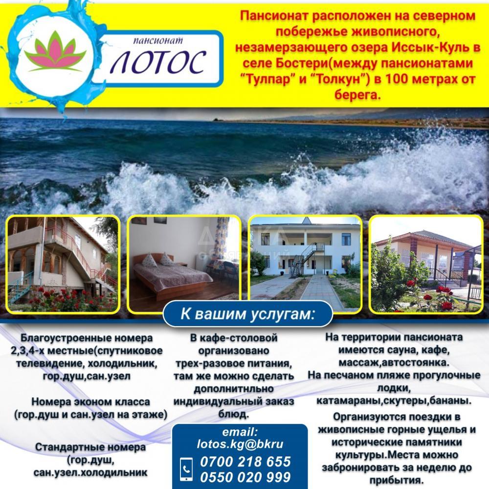 Пансионат "Лотос"