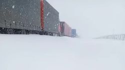 На перевале Торугарт выпало более 40 см снега. Видео