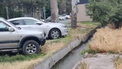 Зеленую зону в Асанбае продолжают уничтожать автомобили. Видео горожанина