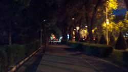 Возле Политеха нет освещения. Фото