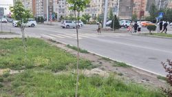 Горожане снова начали уничтожать зеленую зону на Южной магистрали. Фото