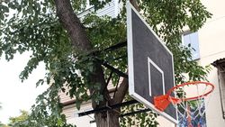 Можно ли так вешать кольцо к дереву? - горожанин