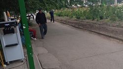 Житель Кара-Балты просит обрезать дерево над тротуаром. Фото