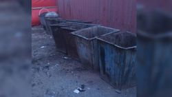 МП «Тазалык» убрал мусор в мусорных баках на Фучика, - мэрия