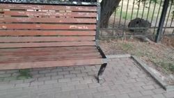 В парке у озер Сорока мало урн. Видео