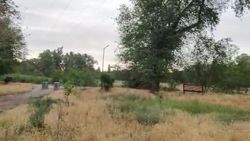 В парке у озер Сорока не горят фонари. Видео горожанина