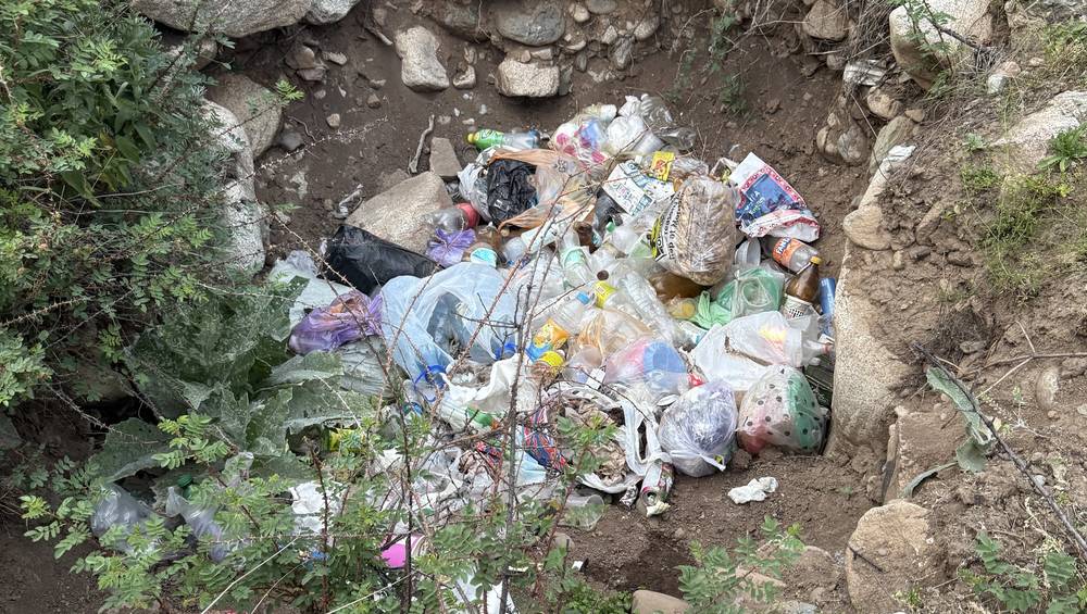 В «Теплых ключах» образовалась стихийная свалка. Фото