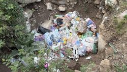 В «Теплых ключах» образовалась стихийная свалка. Фото