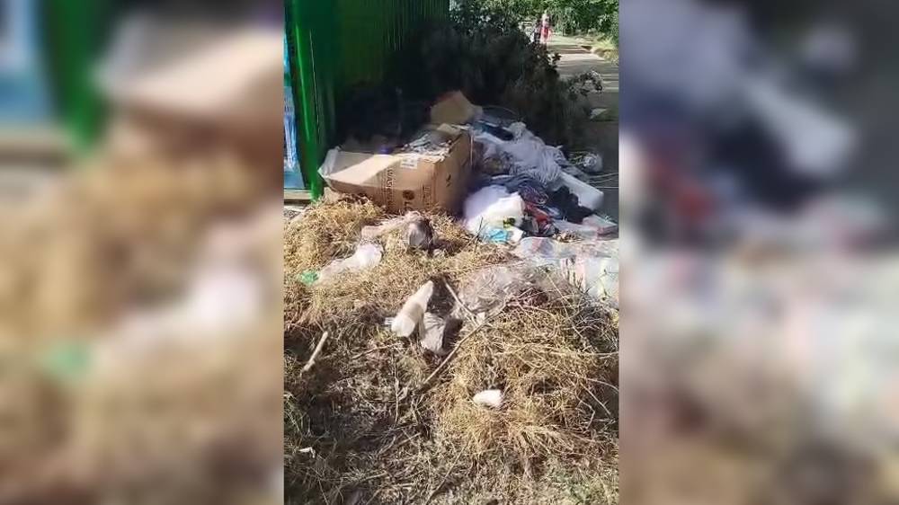 За мусорными контейнерами в 10 мкр складируют мусор и сухие ветки. Видео