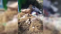 За мусорными контейнерами в 10 мкр складируют мусор и сухие ветки. Видео