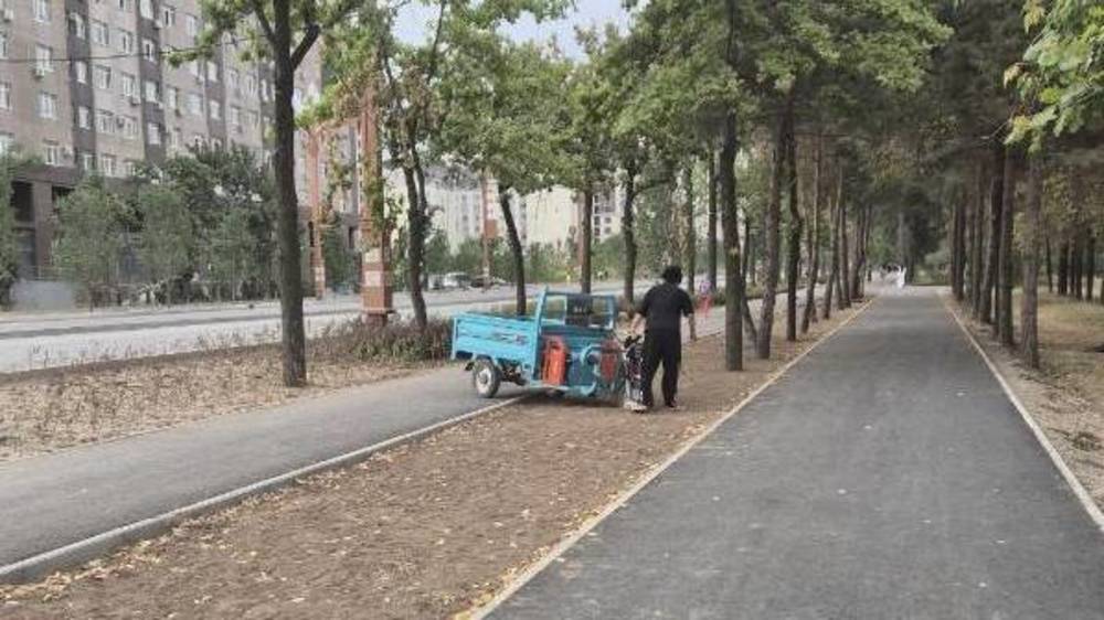 Водитель мотороллера заехал на новую клумбу на Айтматова и застрял. Фото