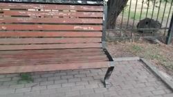 В парке у озер Сорок установлено 40 урн, - мэрия