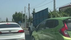 На Юнусалиева вырубают деревья. Видео
