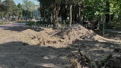 Мэрия объяснила, почему в Дубовом парке вырубают деревья