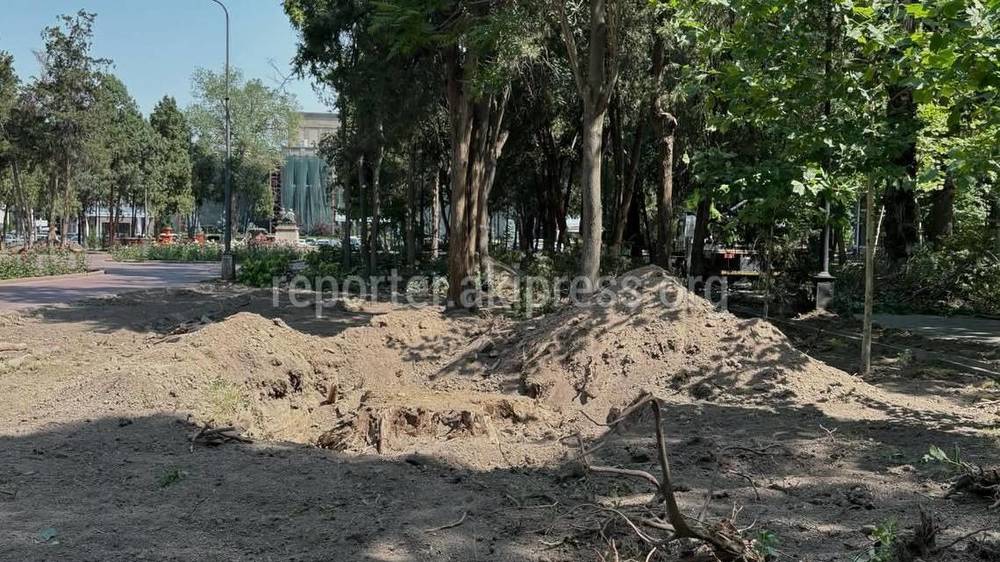 Мэрия объяснила, почему в Дубовом парке вырубают деревья