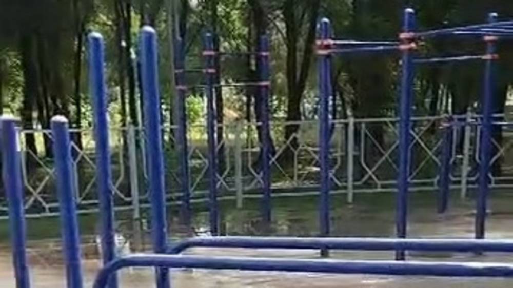 Воркаут площадку в парке Фучика заливает водой из арыка. Видео