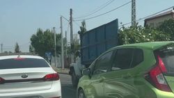 Деревья на Юнусалиева вырубают из-за реконструкции дороги, - «Бишкекзеленстрой»