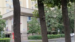 На Тоголок Молдо из двух деревьев сделали турник. Фото
