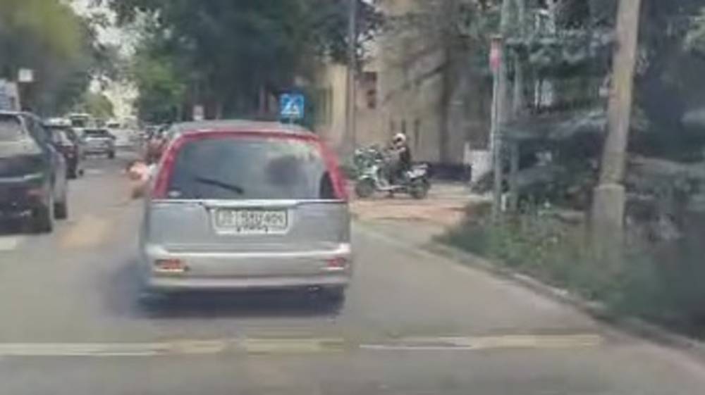 Ребенок едет, высунув голову в окно. Видео