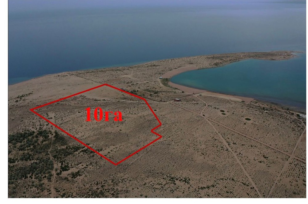 Иллюстративное фото