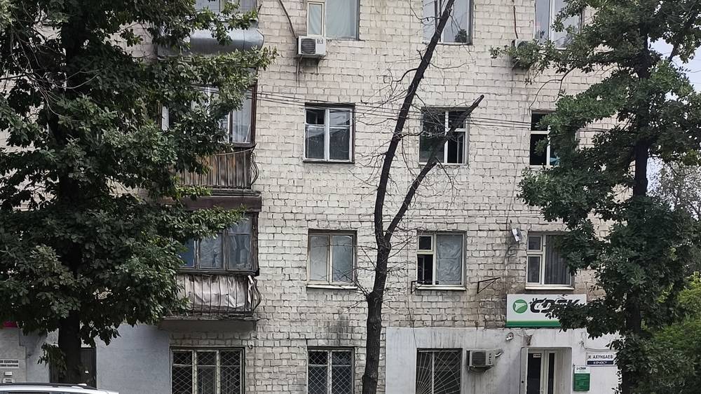 У «самого красивого дерева» в Бишкеке появился конкурент. Фото горожанина