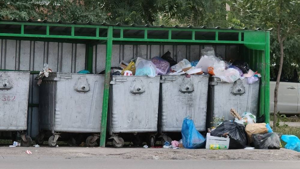 Горожане не доносят мусор до пустых баков. Фото