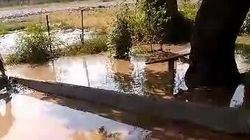 В Московском районе во время полива вода топит дома жителей. Видео